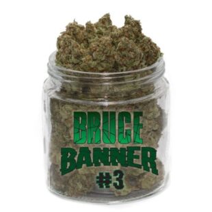 Bruce Banner #3