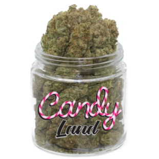 Candyland