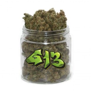 G13